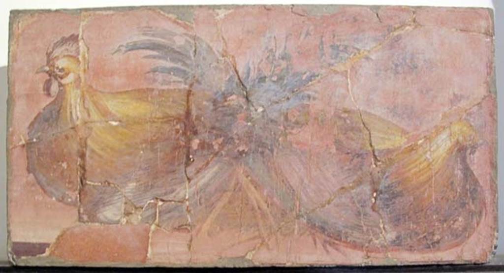 Villa dei Papiri, Herculaneum. Atrium (c). Fresco of two cocks with realistic plumage.
Now in Naples Archaeological Museum. Inventory number 8753.
According to Esposito, Agnes Allroggen-Bedel has attributed to the decoration of the atrium two other fragments, which Weber placed in a different area of the villa, that of the so-called "stufa", or small room that opens to the south-east of room V, the so-called "library". In the first fragment, on a light pink background that looks very much like that of the fragment with ducks and roe deer, one sees two cocks, with the plumage rendered in a very realistic way.
See Esposito D., 2010. Le pitture della Villa dei Papiri ad Ercolano in La Villa Romaine de Boscoreale et ses Fresques. édicions errance: Musée royal de Mariemont. p. 212, fig. 4.